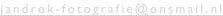 shapeimage_1_link_0